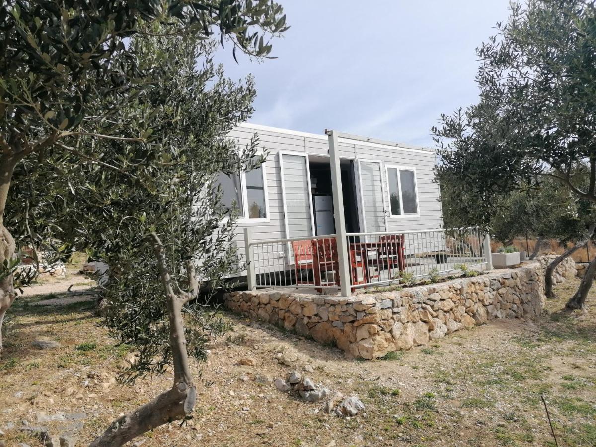 Camp Kopito